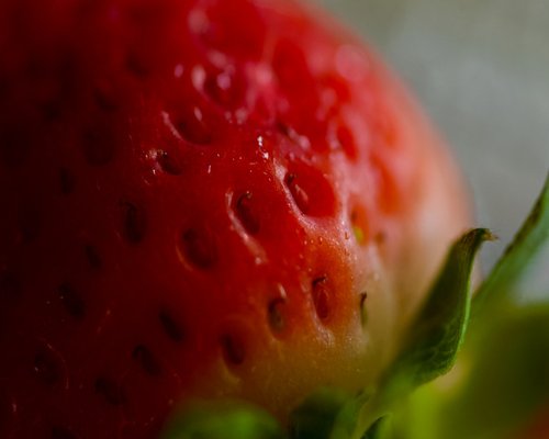 metabolic pathways and organic energy source